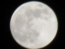 Super Moon! Photo courtesy K7HIL.
